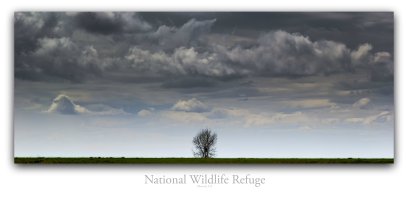 merced duck place pm.jpg