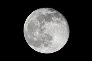 Reg Moon 6-12-2014.jpg