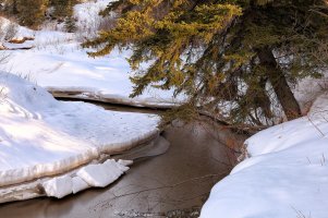 IMG_0267 2000 wide.jpg