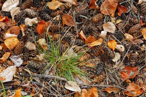 IMG_0013 2000 wide.jpg