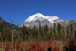MountRobson_20544.JPG