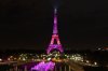 Paris_Eiffel-Tower_Pink-October2_20141007_EOS40D_19637_small.jpg