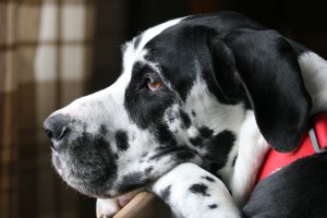 IMG_5675.JPG