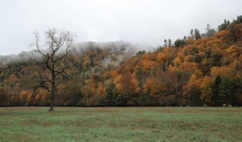 Cataloochee sm.jpg