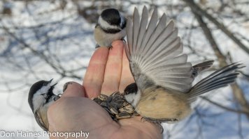 IMG_3034.jpg