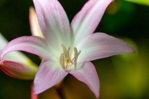 2014_09_28@13_26_11 EOS-1D X 043011002044 _1DX8800.jpg