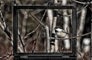 IMG_0233 bpm 2000w.jpg