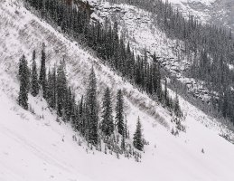 _MG_9630_Snapseed copy.jpg