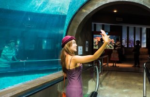 Aquarium.jpg