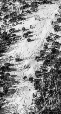 Afternoon Tracks (1 of 1).jpg