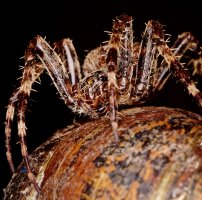 _75A5379 - Version 2.jpg