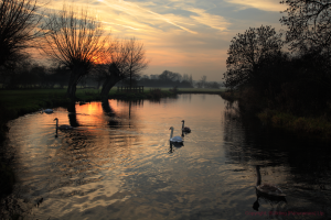 Evening on the River Stour.png