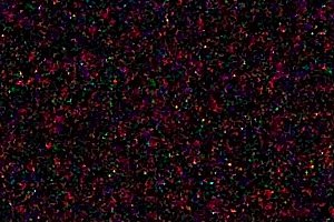 7d_1600isoPush4.jpg