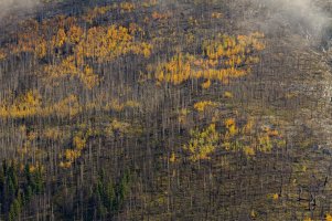 _MG_5693 copy copy.jpg