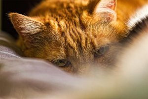 _MG_5754 copy copy.jpg