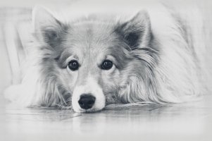 IMG_2632_DxO_edited-2 copy copy.jpg