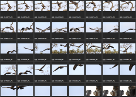 Screen Shot 2014-11-12 at 3.19.53 PM.png