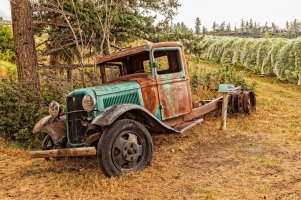 _MG_7097 copy copy.jpg