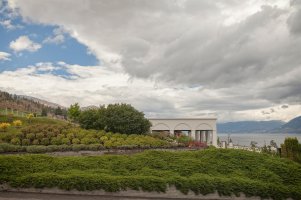 _MG_7110 copy copy.jpg