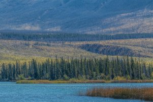 _MG_5591 copy_DxO.jpg