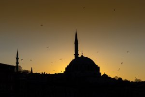 Istanbul2014-308-min.jpg