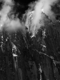 ne face tooth_bw CN.jpg