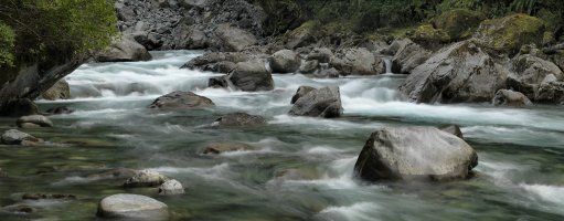 Holyford river pan 2.jpg