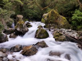 cascade off dirt road_0219.jpg