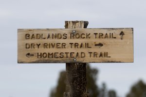 Sigma 150-600mm Sport at 300mm.jpg