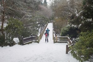 crystal springs sn v sm.jpg