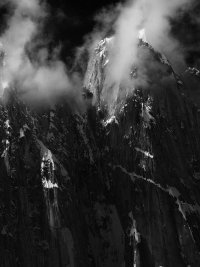 ne face tooth_bw CN.jpg