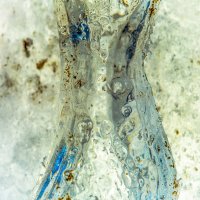 Ice Macro-6 copy.jpg