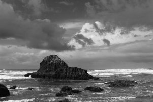 ecoli beach 2 bw.jpg