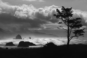 Canon Beach V.jpg