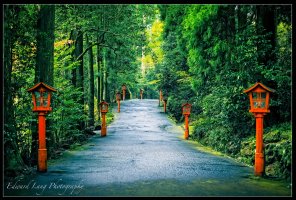 Shinto Shrine Hakone.jpg