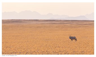 IvanM-Namibia2014-0365-s.jpg