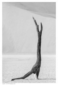 IvanM-Namibia2014-1474--s-B&W.jpg