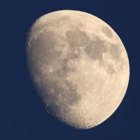 IMG_4846.JPG