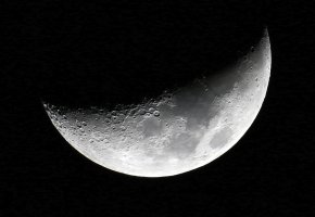 IMG_1139_DxO.jpg