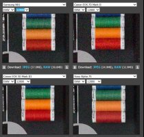 ISO12800  NX1-7Dm2-5Dm3-A7S.JPG