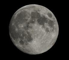 Luna 082013.jpg