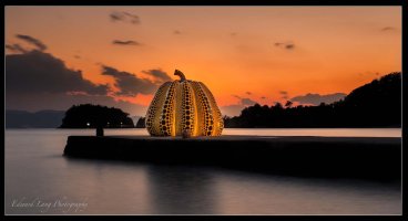 Sunset Yellow Pumpkin.jpg