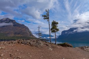 _MG_0445_DxO - Version 2.jpg