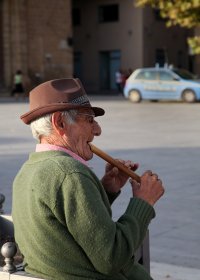 IMG_4719Vweb.jpg