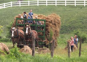 Thrashing August.jpg