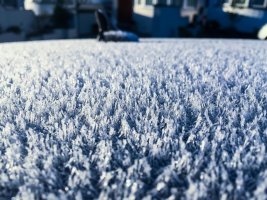 Photo 06-12-2014 09 13 28 (Large).jpg