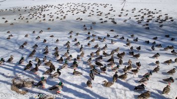 IMG_4750.jpg