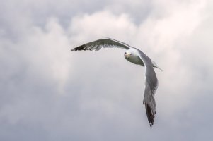 _MG_2859_DxO - Version 2.jpg