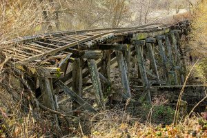 Tuolumne Trestle-small.jpg