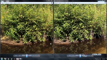 stream crops.jpg